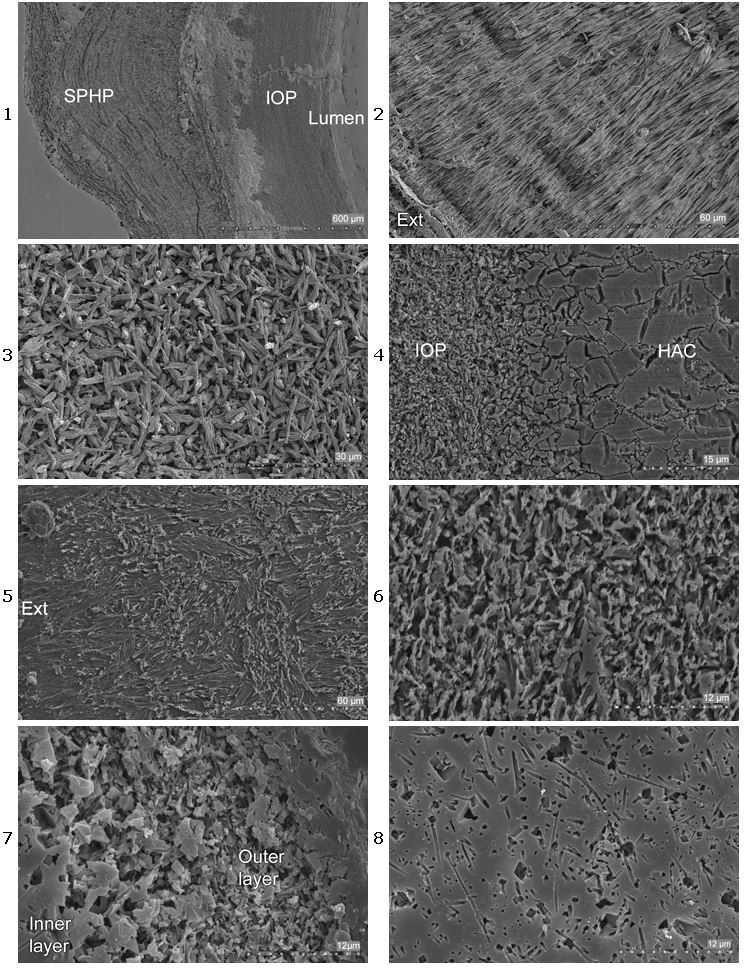 CG2011_L05_Fig_01 to 08