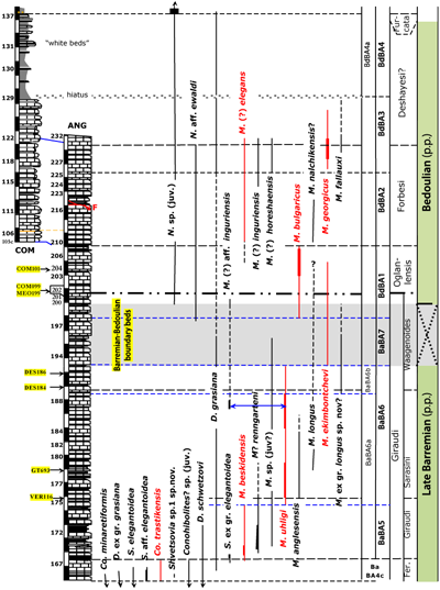 fig4