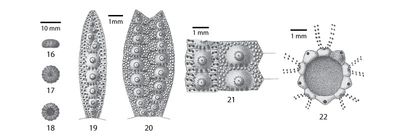 TN_CG2013_M01_Fig_02