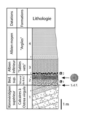 TN_CG2013_M01_Fig_06