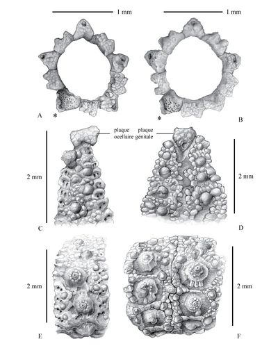 TN_CG2013_M01_Fig_08