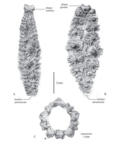 TN_CG2013_M01_Fig_09