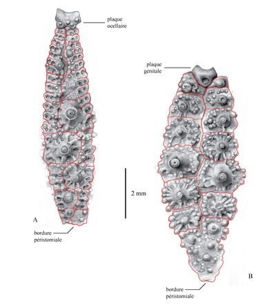 TN_CG2013_M01_Fig_10