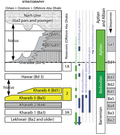 Fig. 9