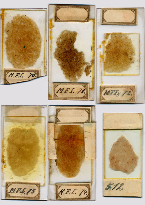 Fig. 6