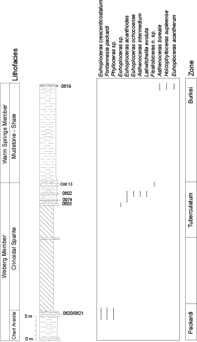 Pl. 10