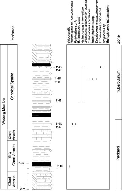 Pl. 12