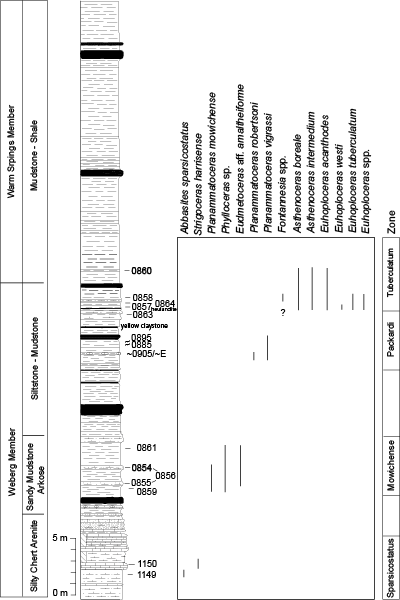 Pl. 16A