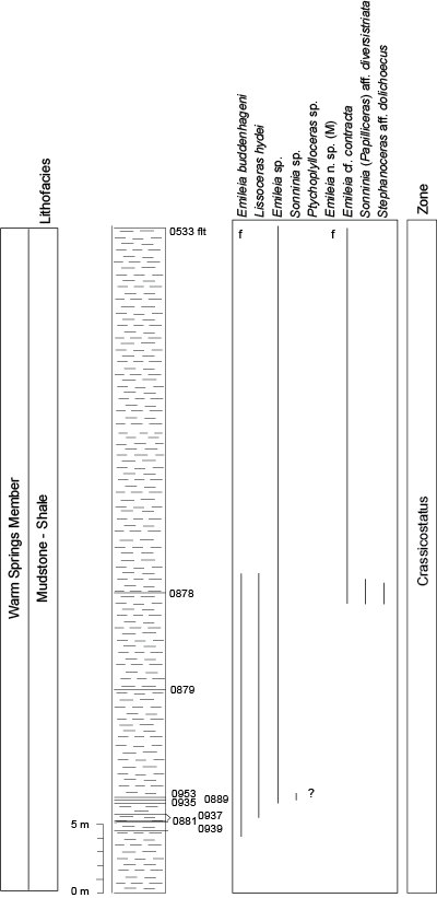 Pl. 16B
