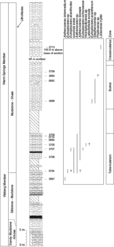 Pl. 17