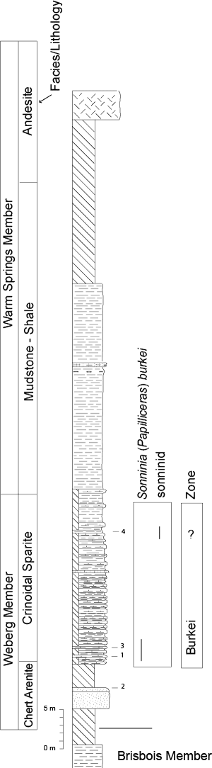 Pl. 18