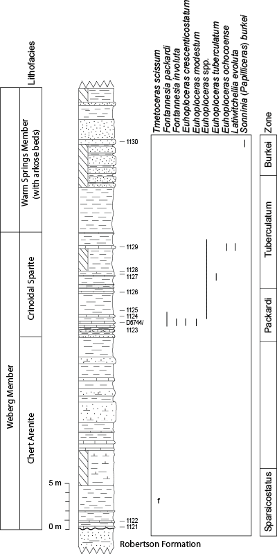 Pl. 20