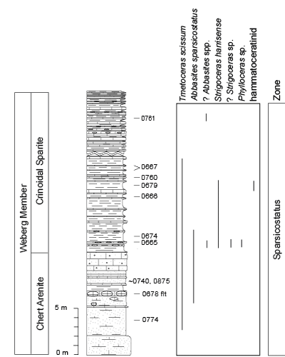 Pl. 22