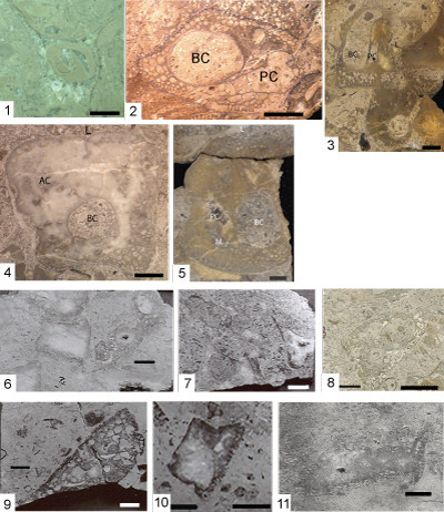 Fig. 12
