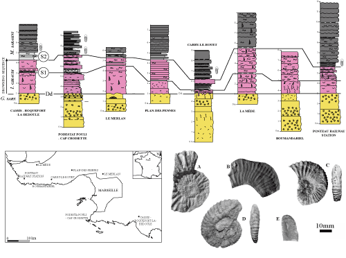 Fig. 5