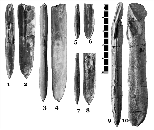 Fig. 5