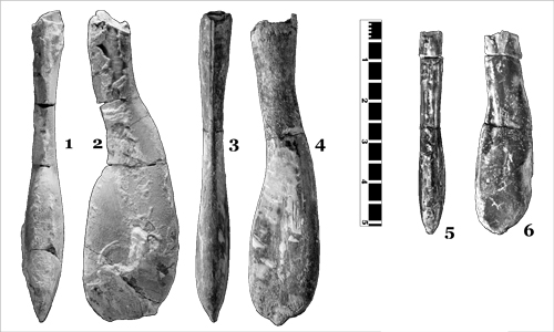 Fig. 6