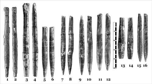 Fig. 8
