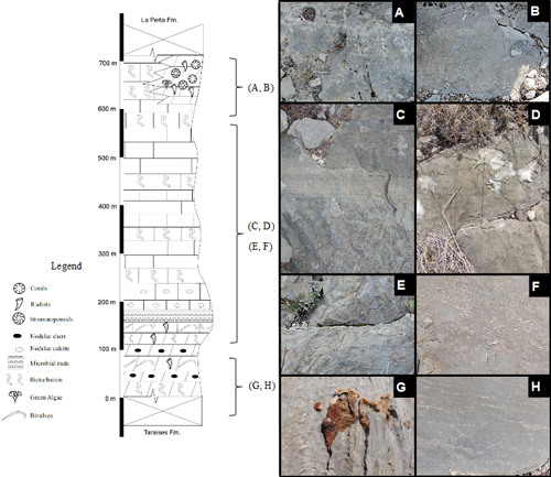 Fig. 7