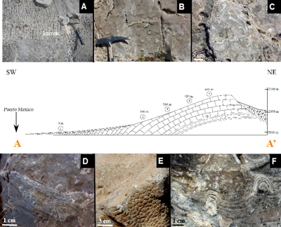 Fig. 8