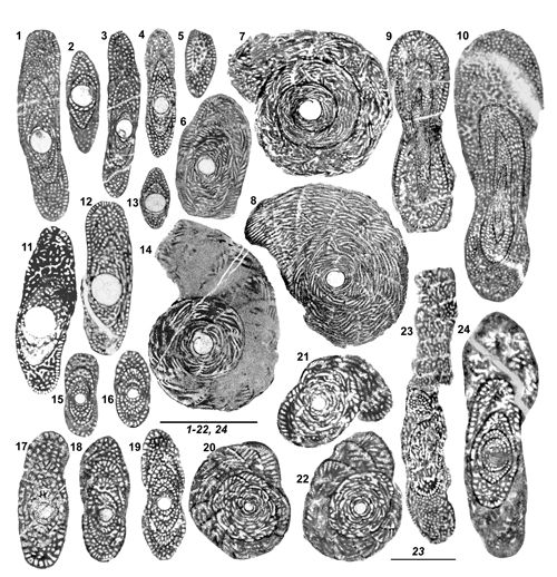 Fig. 8