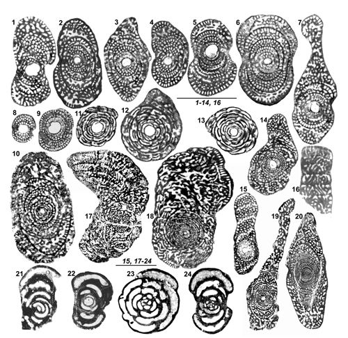 Fig. 9