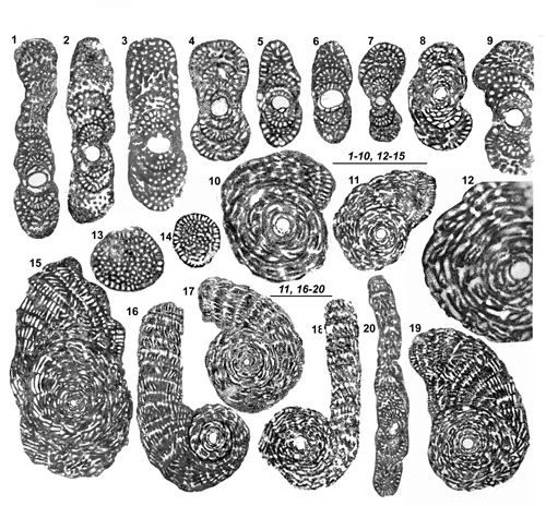 Fig. 10