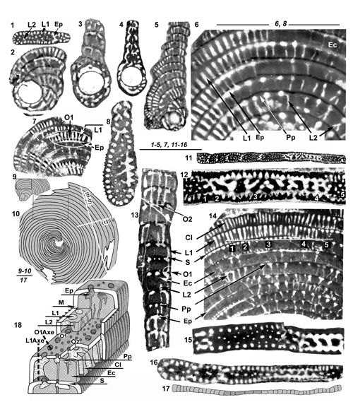 Fig. 11