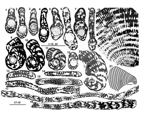 Fig. 13