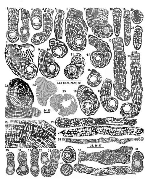 Fig. 14