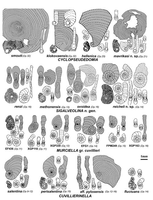 Fig. 16