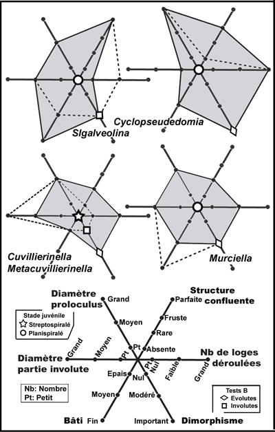 Fig. 17