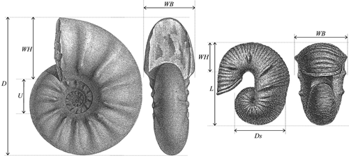 Fig. 3