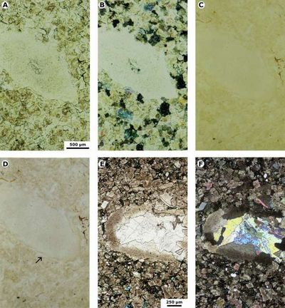 Fig. 11