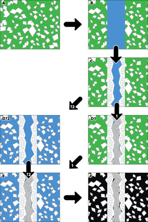 Fig. 15