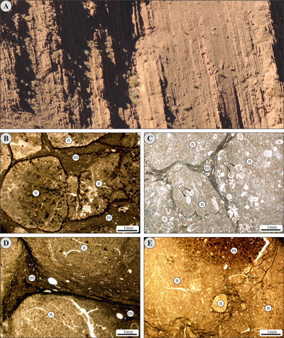 Fig. 9