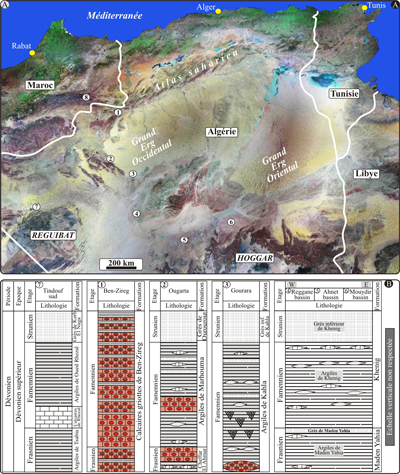 Fig. 11