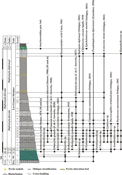 Fig. 5