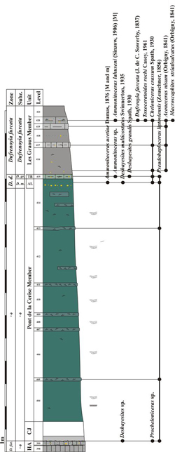 Fig. 15