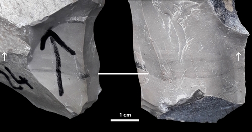 Fig. 5