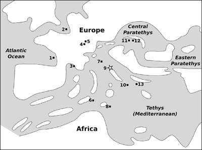 Fig. 4