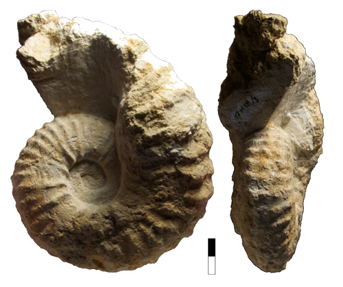 Fig. 9
