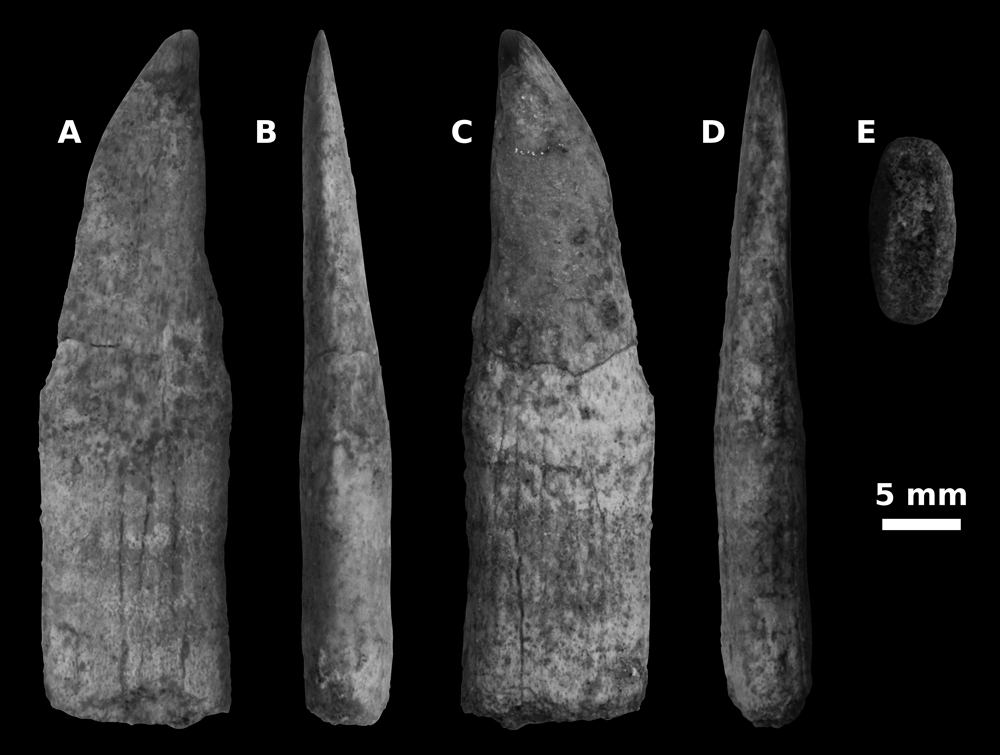Fig. 4
