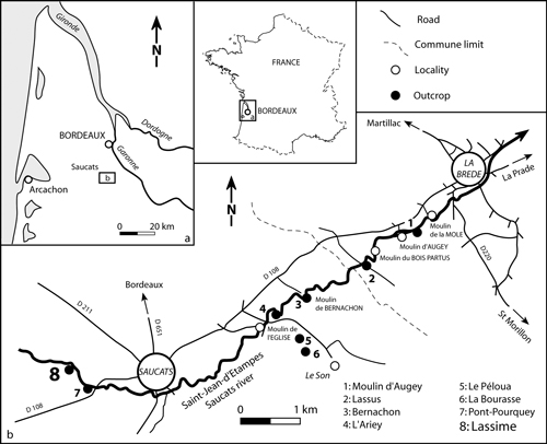 Fig. 1