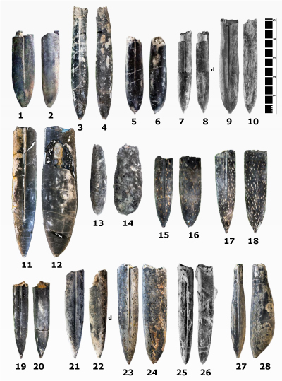 Pl. 7