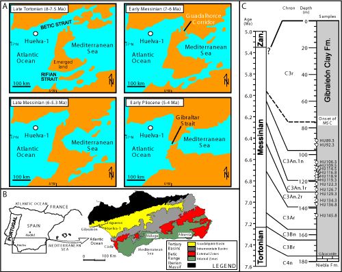 Fig. 1