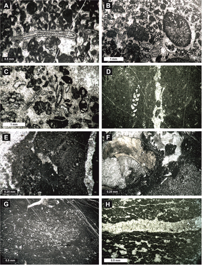 Fig. 9