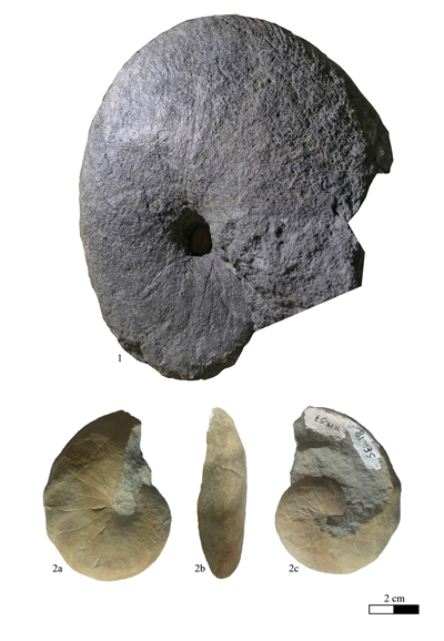 Pl. 6