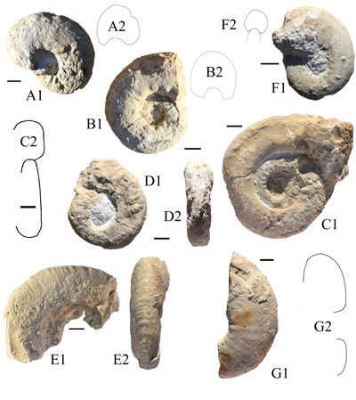 Fig. 10