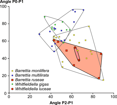 Fig. 8